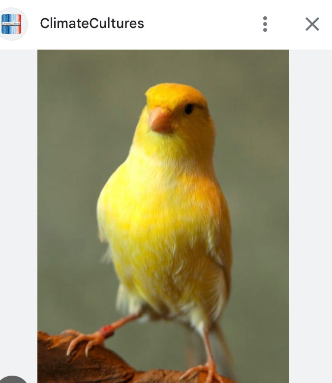 There Is A Housing Crisis? Really? by CoCoa