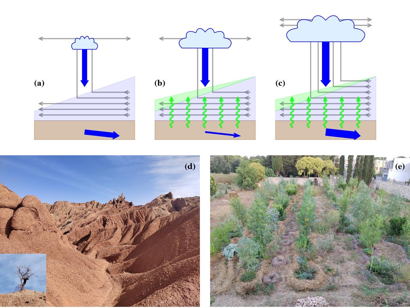 Biotic Pump, Ecorestoration and River Runoff