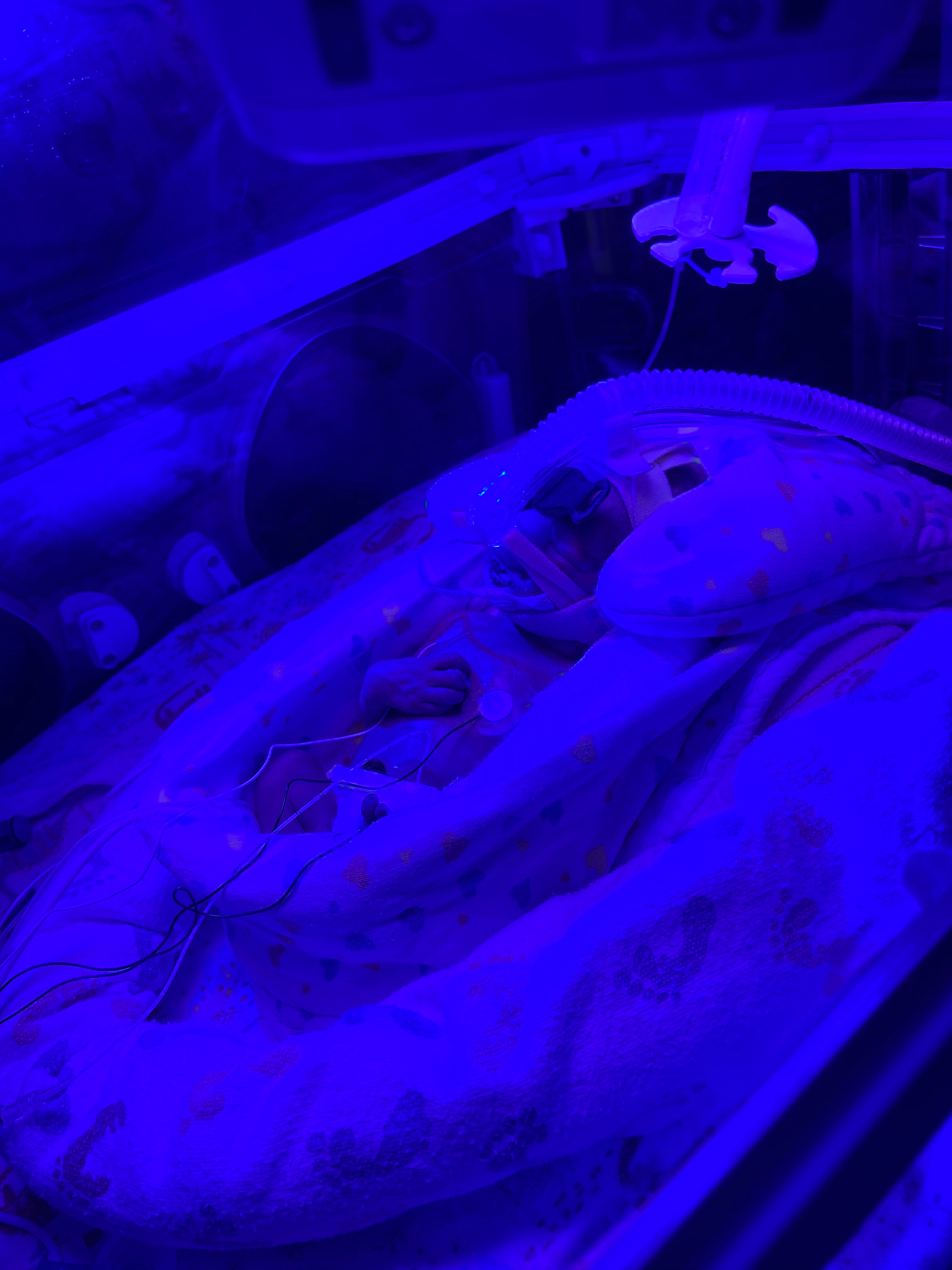 38 Days in September by Emily Waletich Emily’s Substack