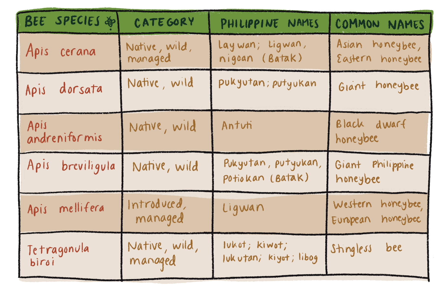 The Definitive Guide to SPAM Flavours: 27 Unique Varieties to Try - Ang  Sarap