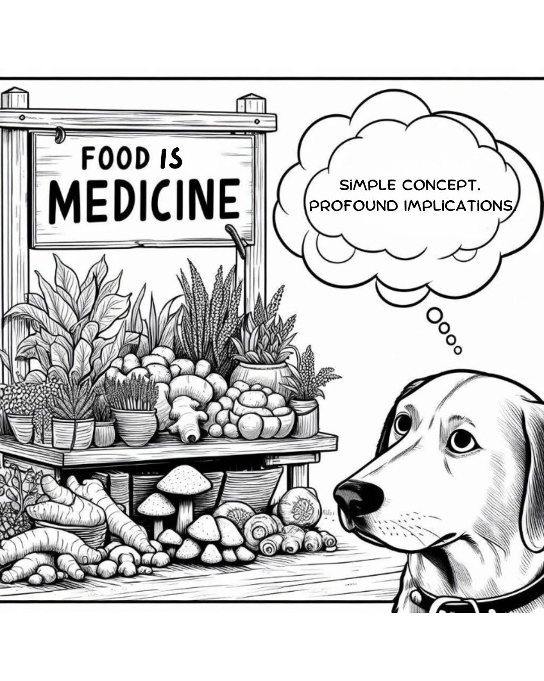 Why our pets are sick & what to do about it.