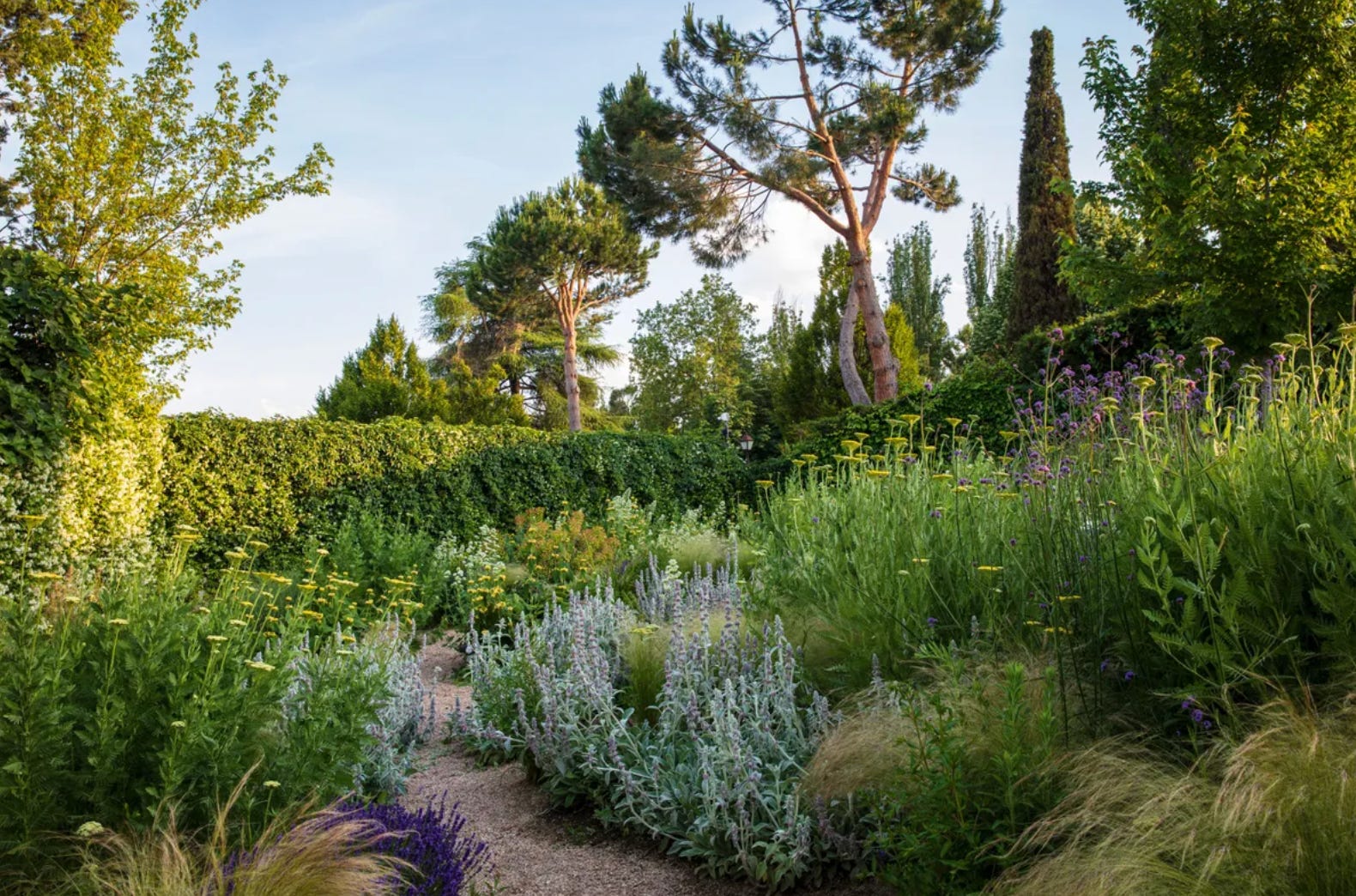 What is a *Spanish* cottage garden? - by Casey Lister
