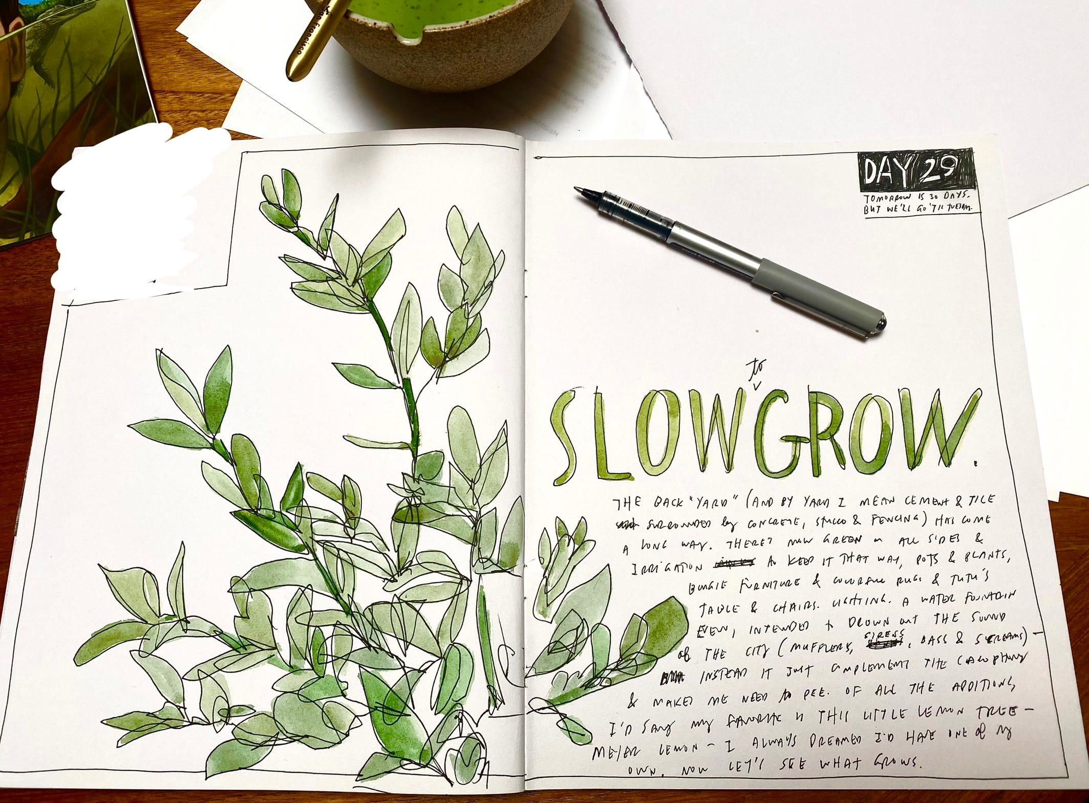 The Best Felt Tip Pens for Sketching Plants 