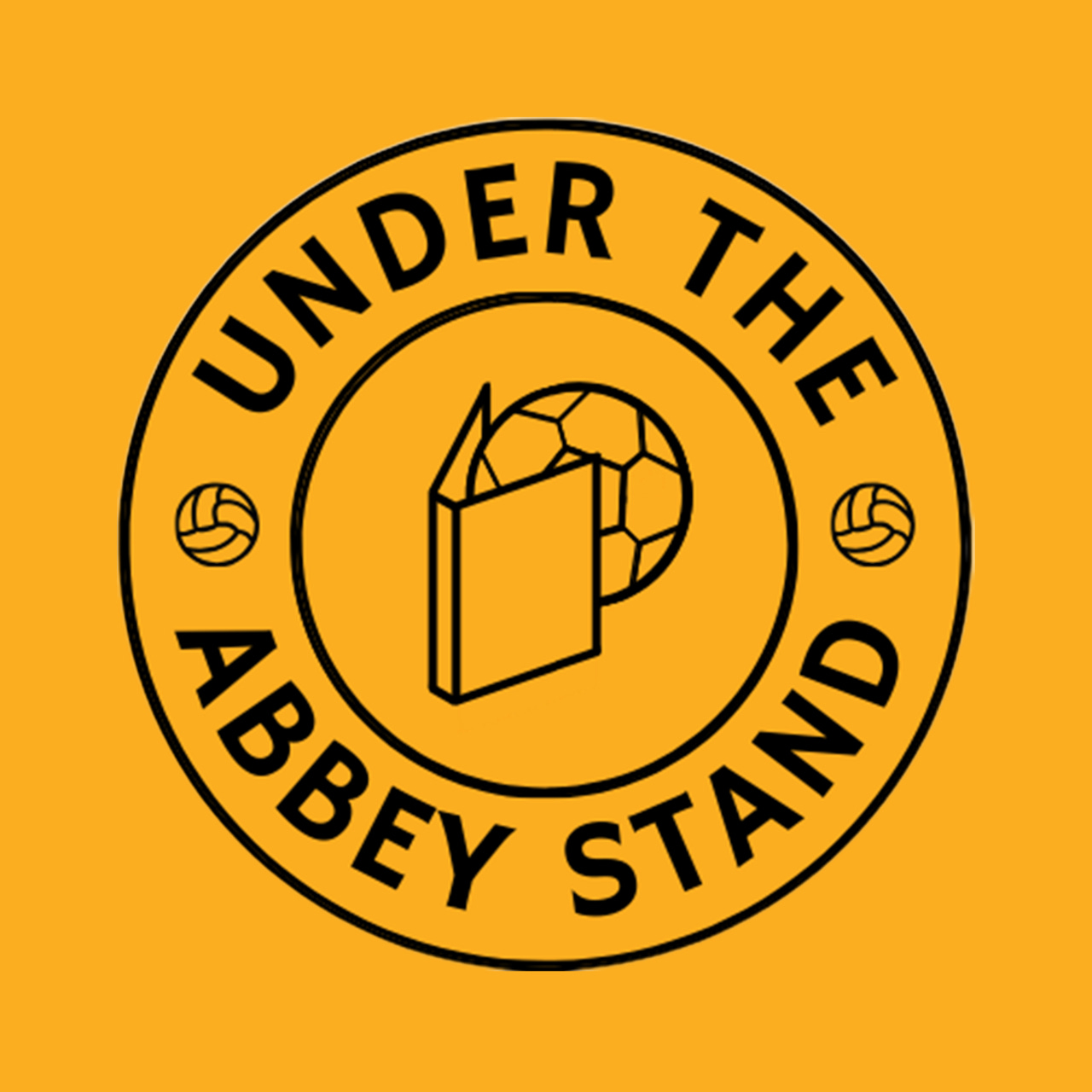 Under The Abbey Stand