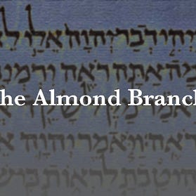 The Almond Branch logo