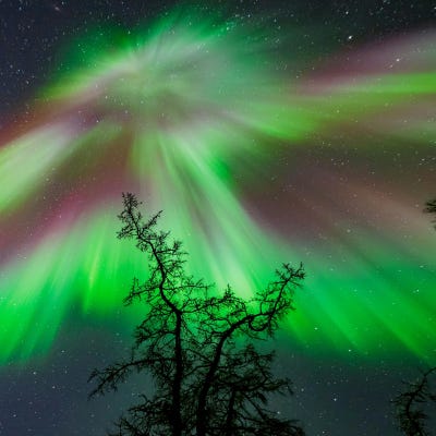 Las nuevas auroras