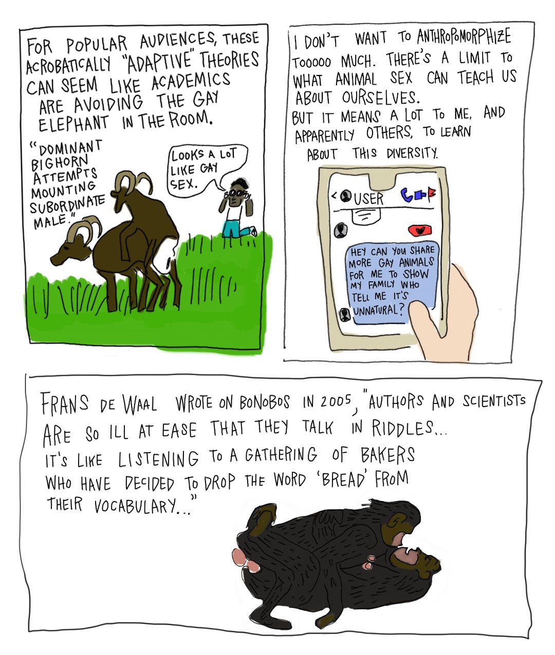 Animal gay sexs