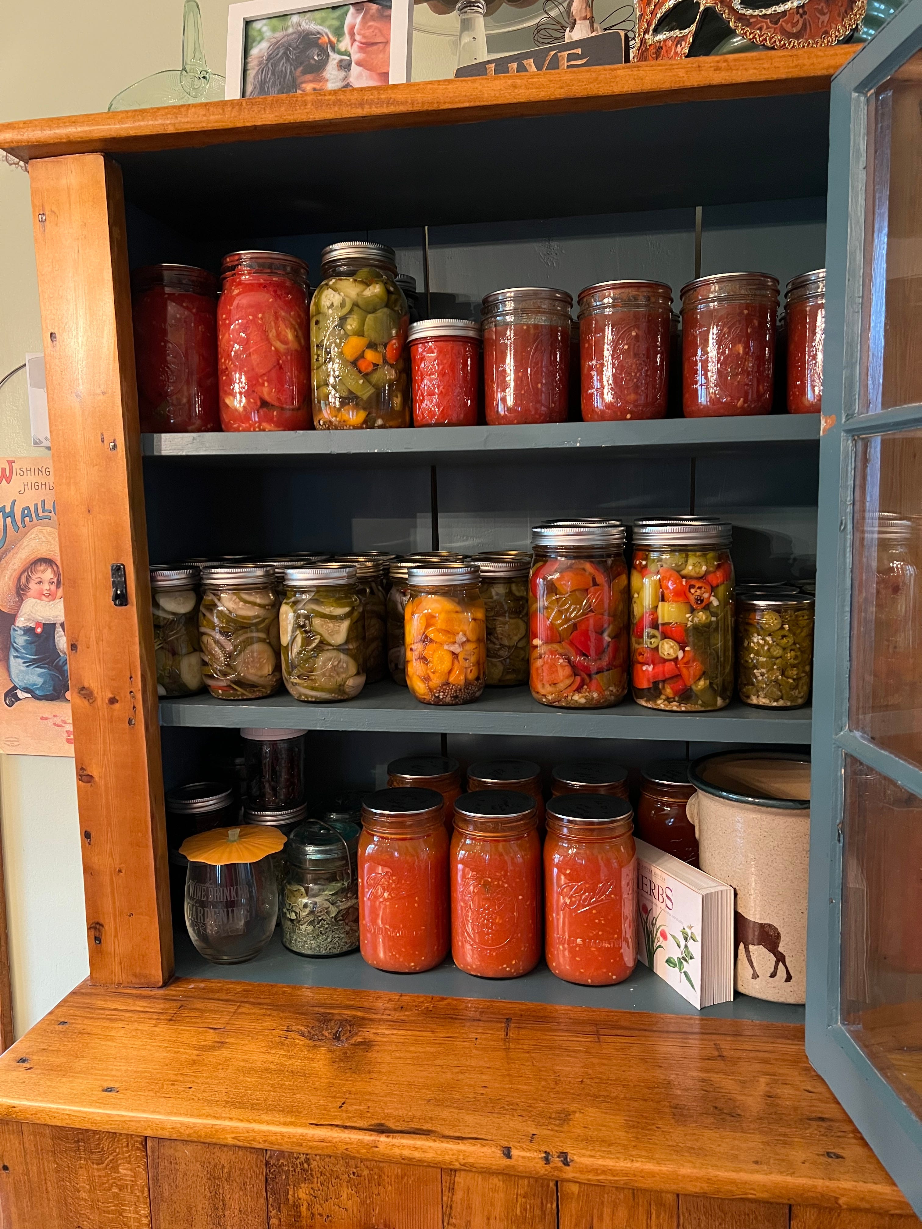 My 2024 Garden Journeythe End. by Wendy Henry