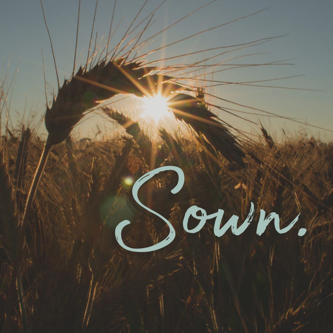 Sown.  logo