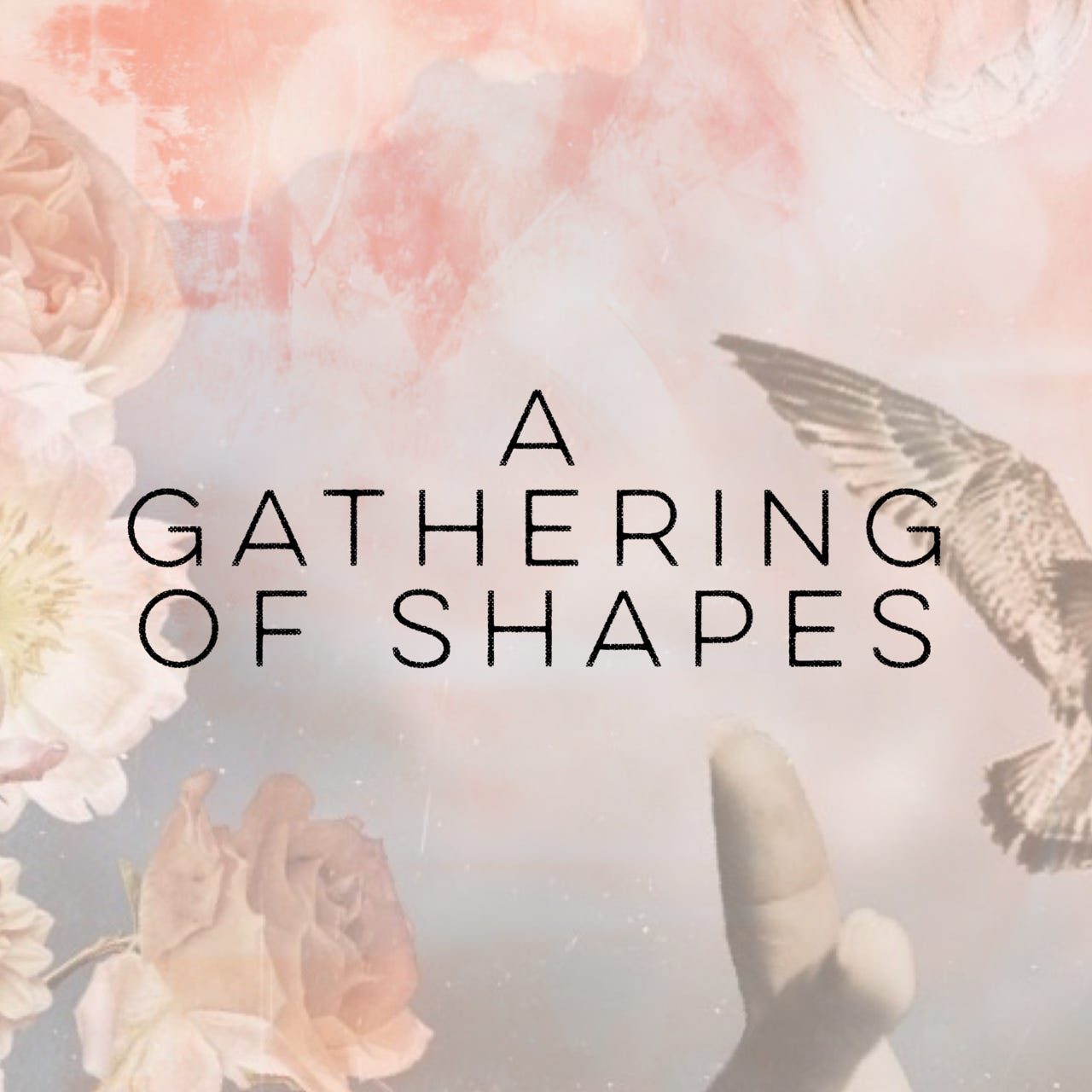 A Gathering of Shapes