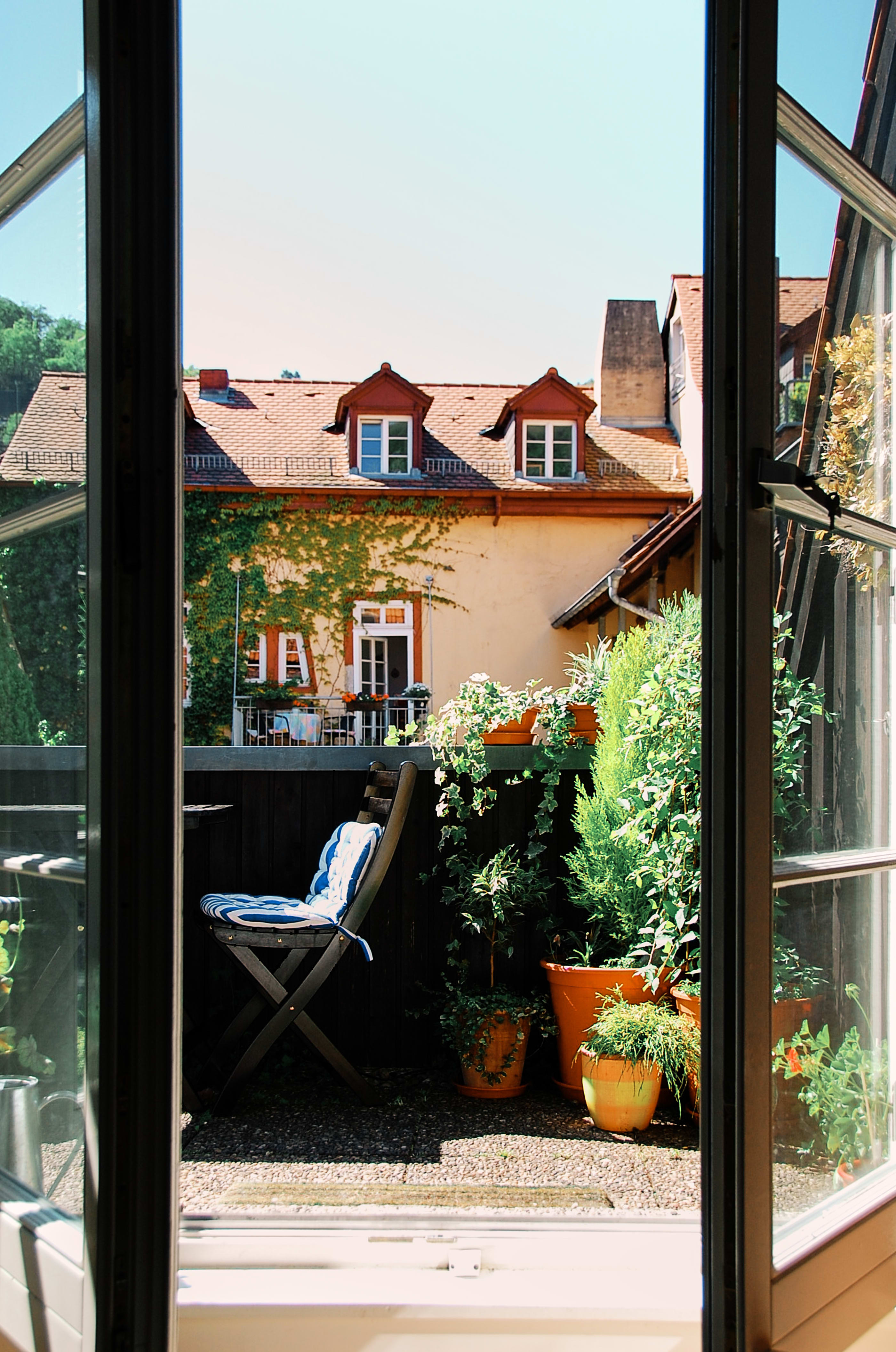 Plants & Gardening by Kassie Borreson