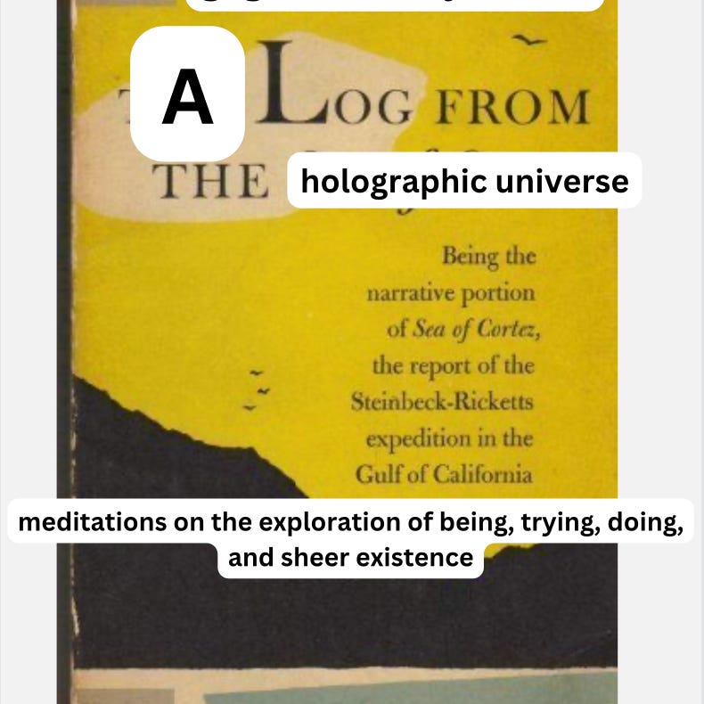 Artwork for A LOG FROM THE HOLOGRAPHIC UNIVERSE