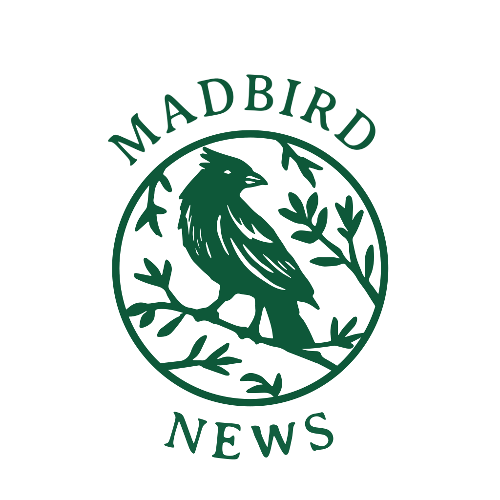 Artwork for Madbird Newsletter 