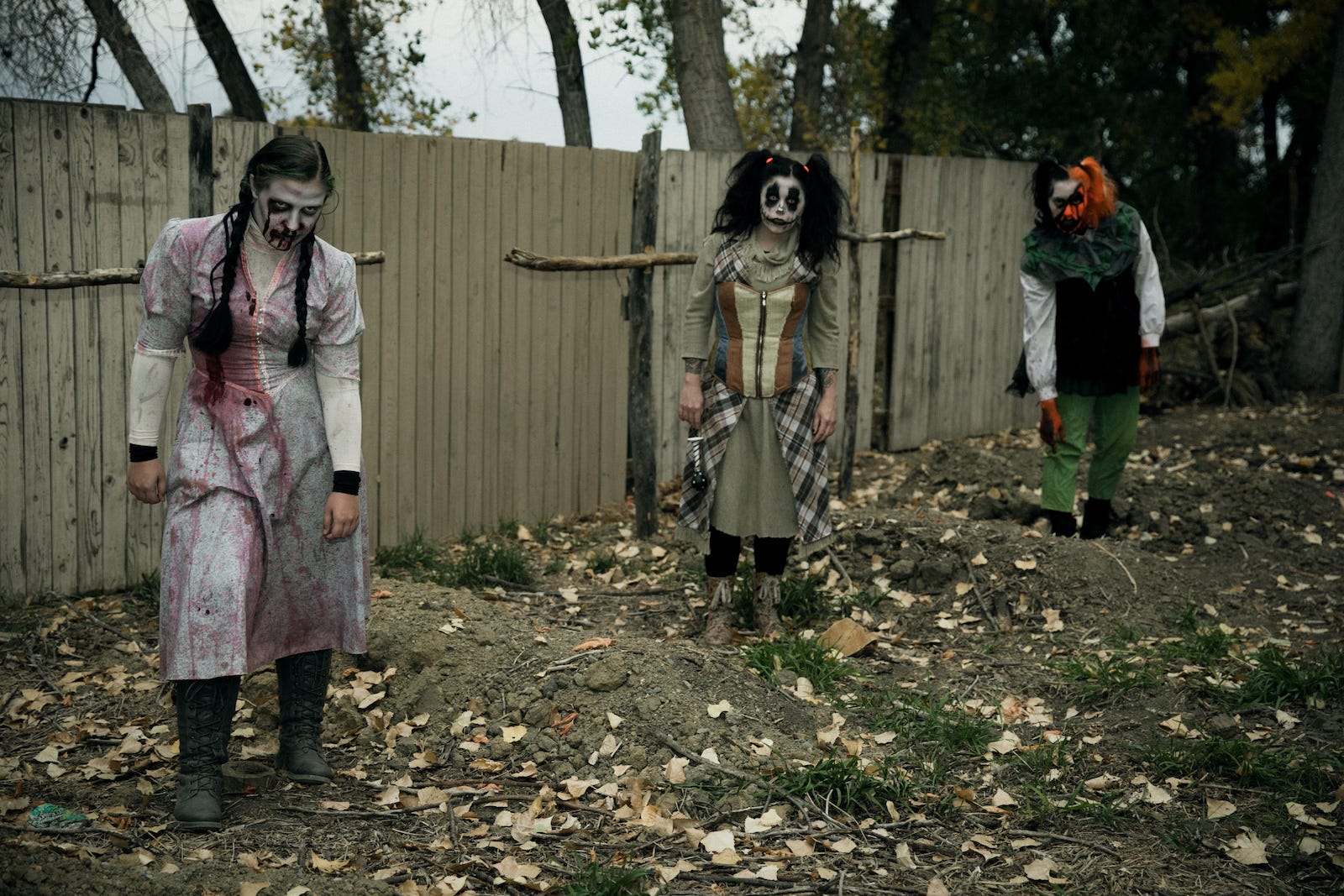 27 BEST Halloween Events in Edmonton Your Guide to Spooky SZN in YEG