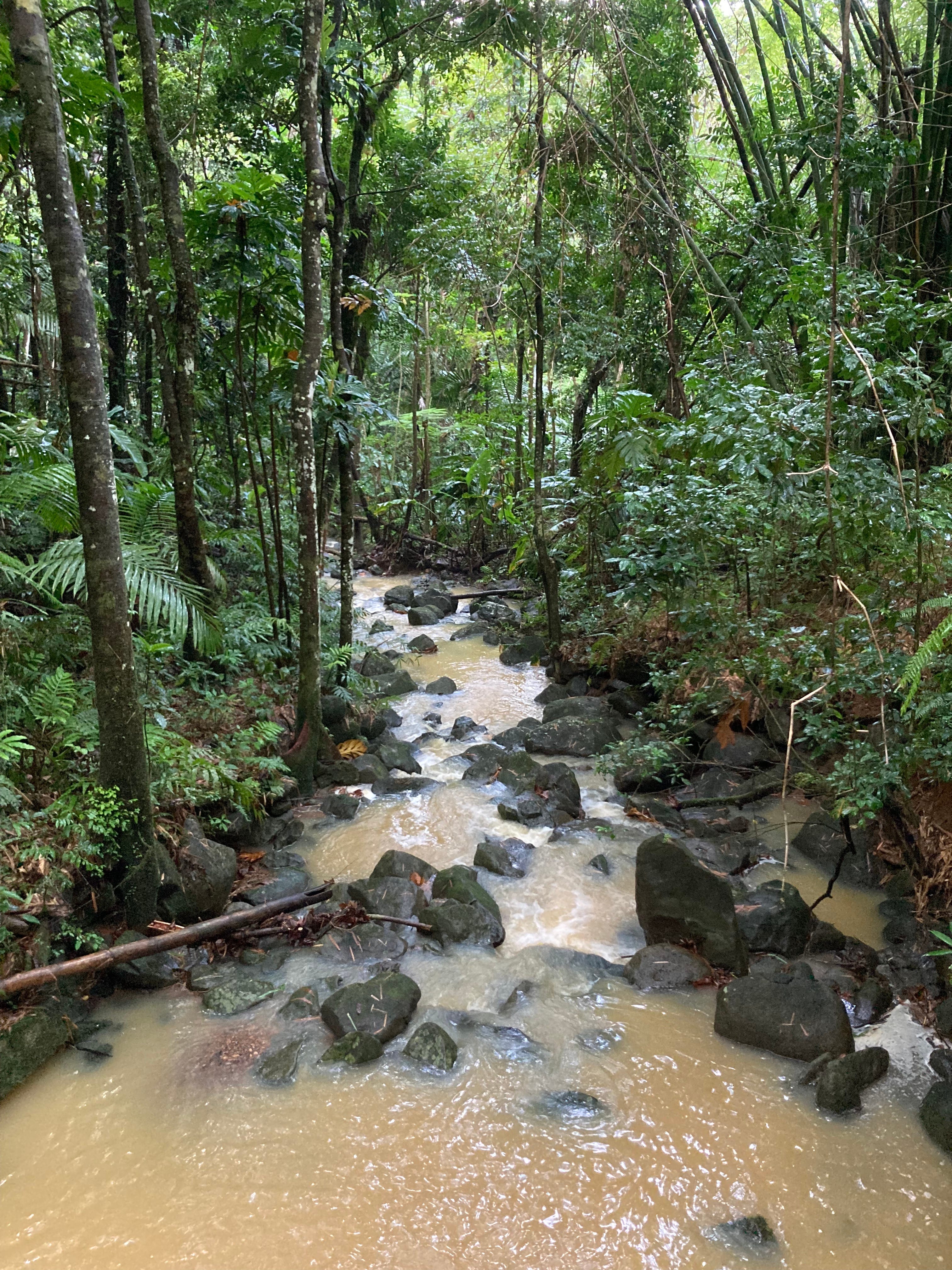 My Rock of Refuge by Katherine Rapin Healing Aloud