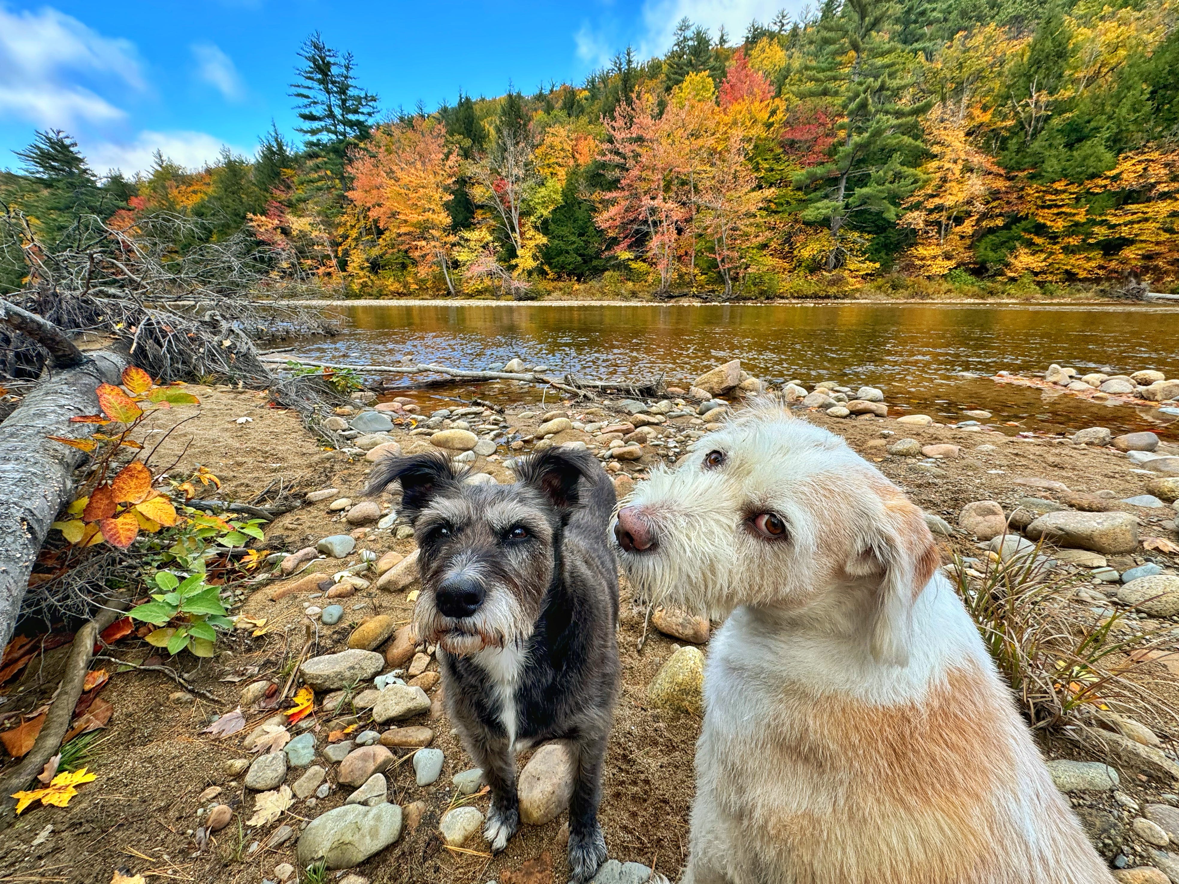 As a Stroke, Kidney Failure, and Heart Attack Survivor, These Are the