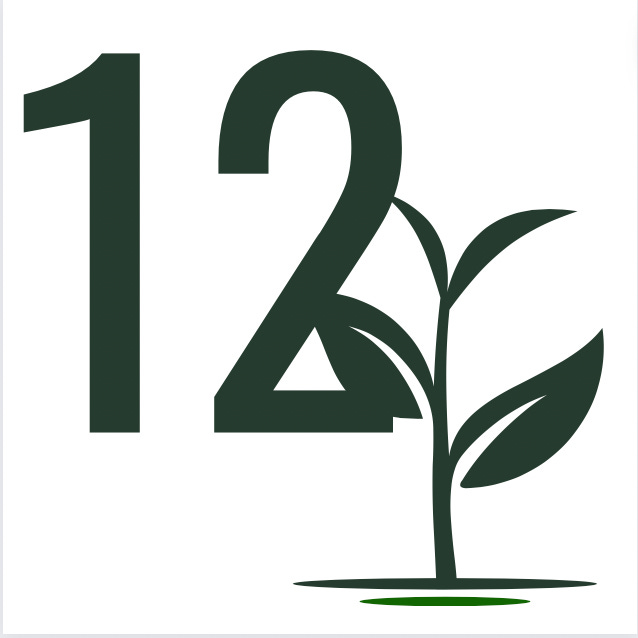 12 Seeds logo