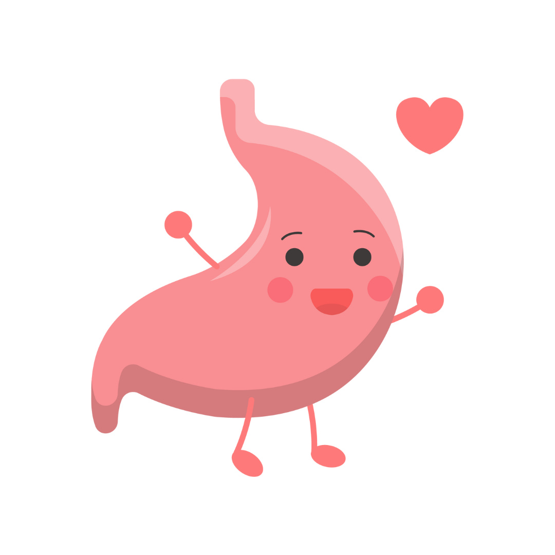 Gut Health 101 by Darlene Marshall More Better