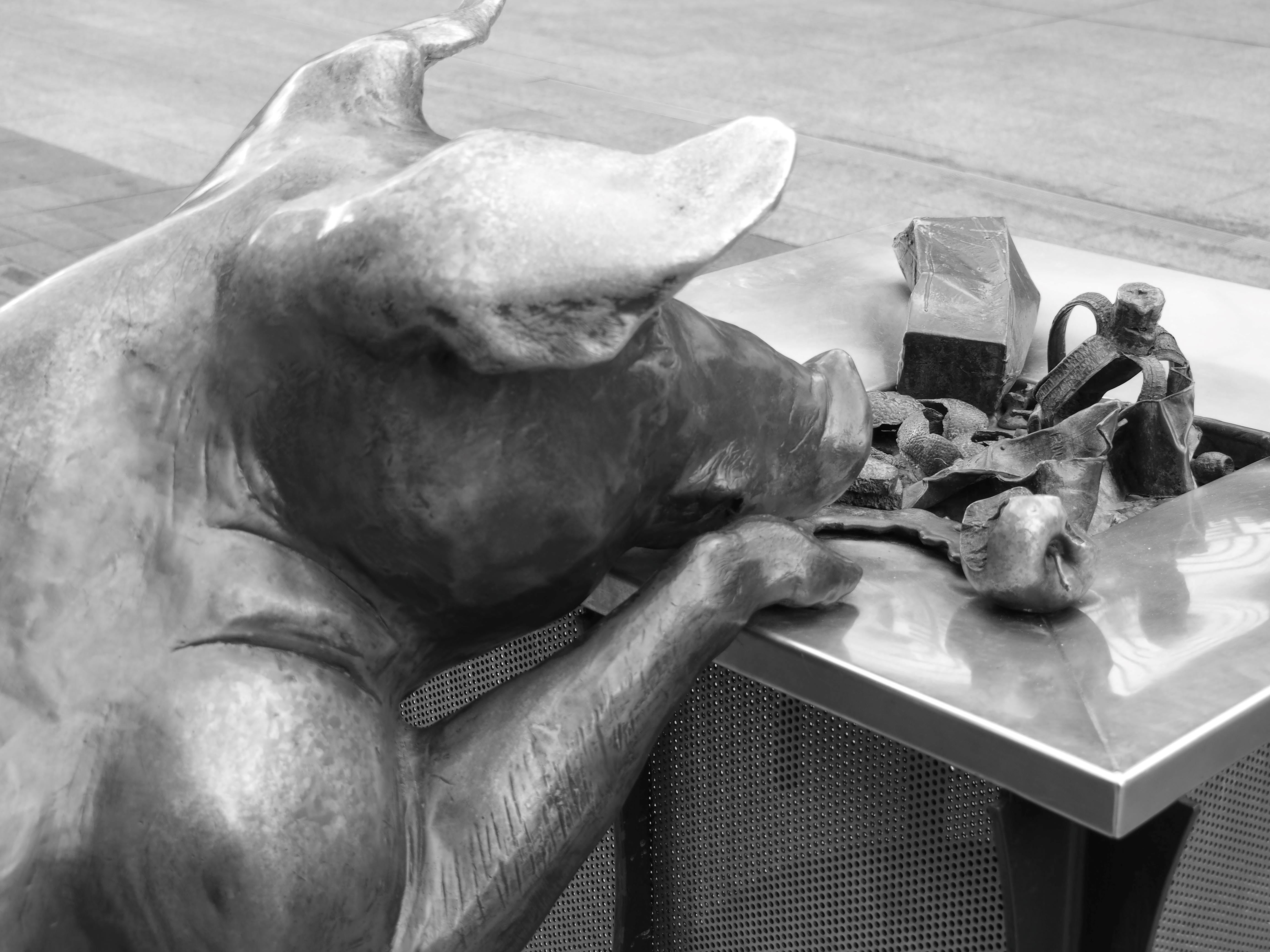 Silent Witnesses Adelaide's Statues and Monuments Chapter 39