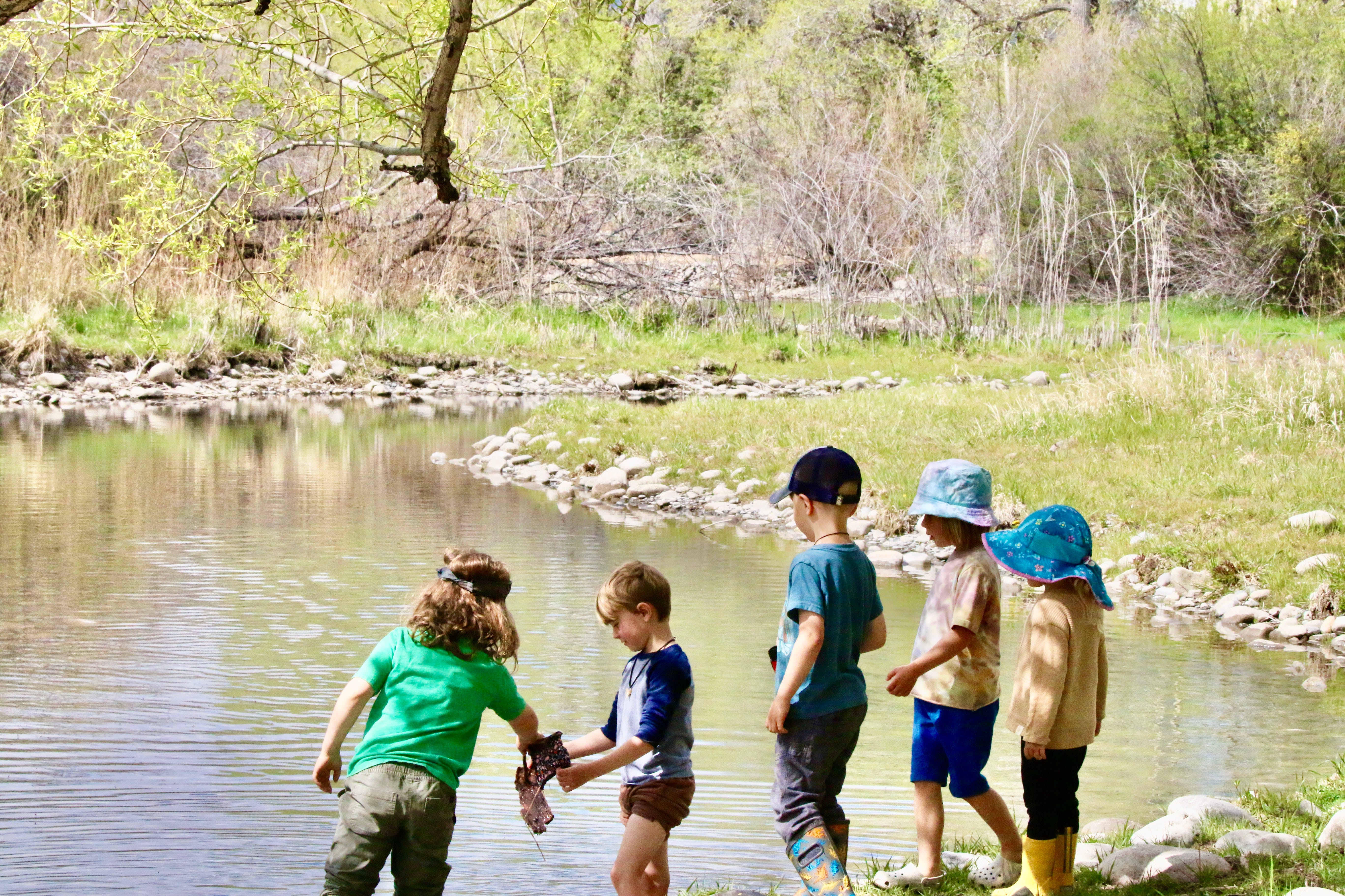 Guided Wild Forest School Summer Camp Is Open For Registration. Nature 