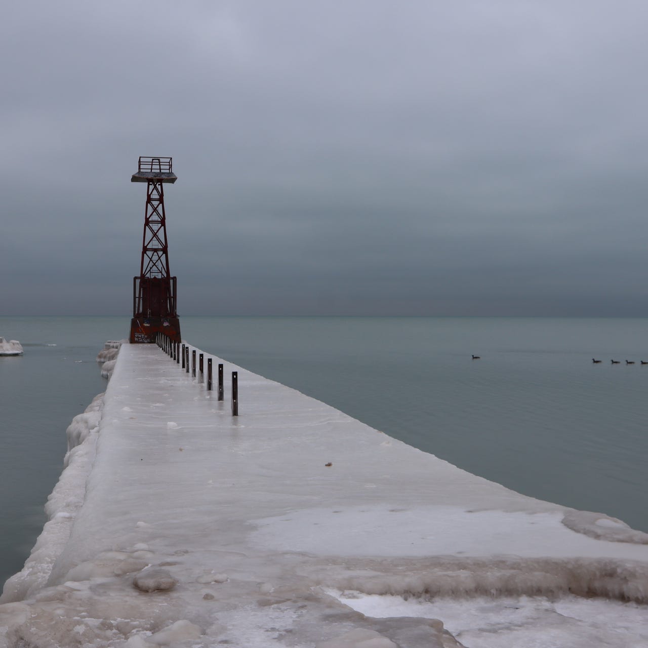 Observations from Foster Beach, Chicago logo