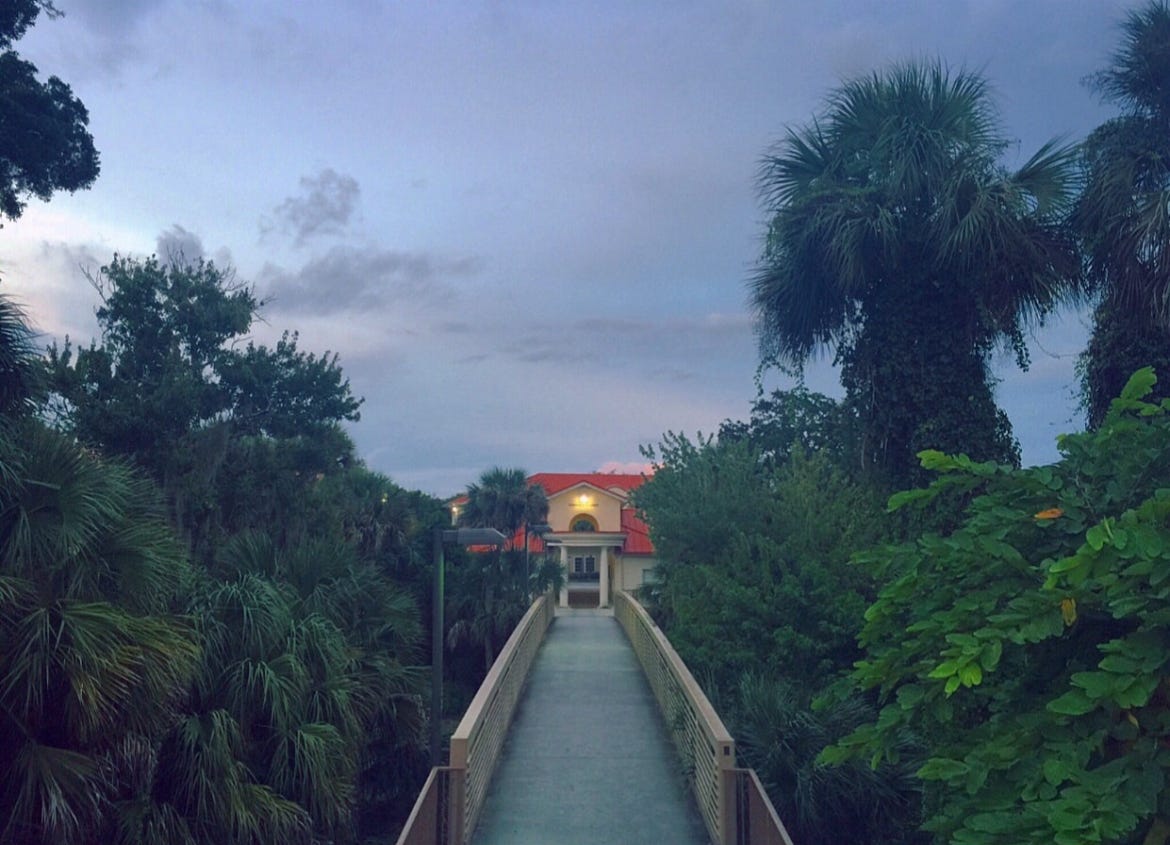 Cat Killed the Curiosity but Pasta is Bringing it Back