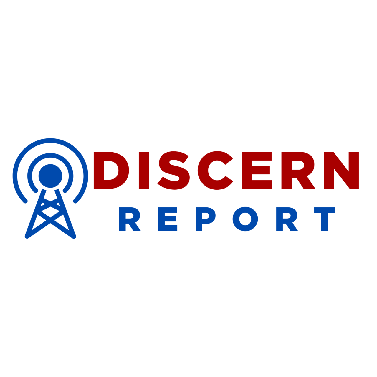 Discern Report logo