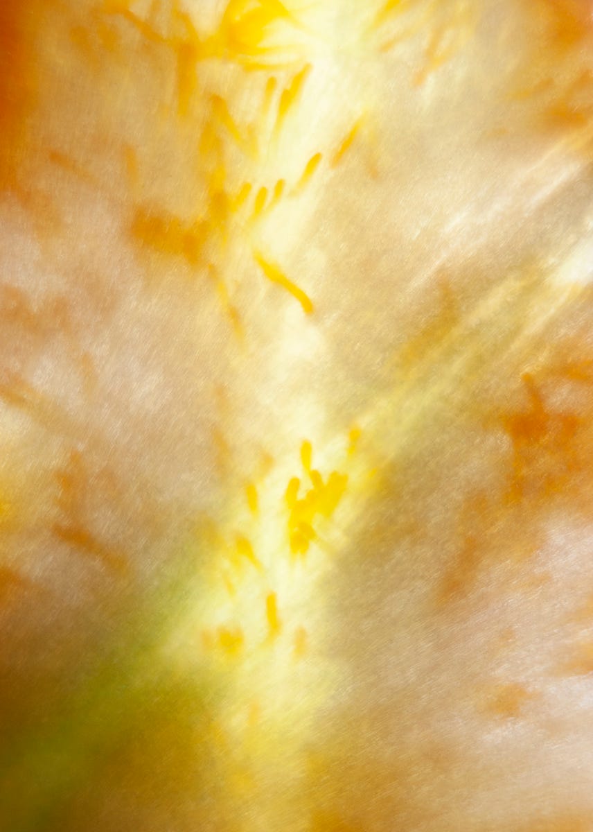 Current exhibitions by Kevin Hansen Kevin’s Substack