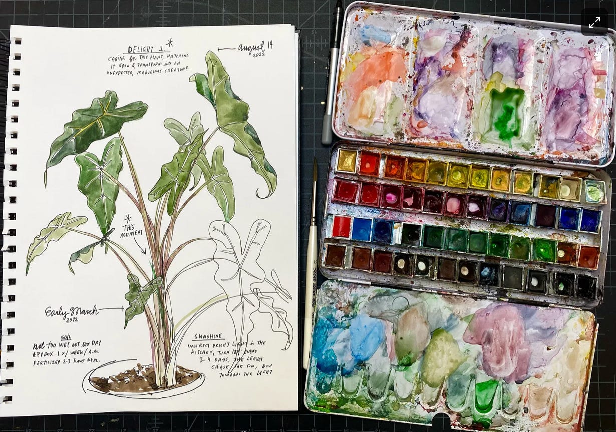 Intro to Watercolor! - by Wendy MacNaughton