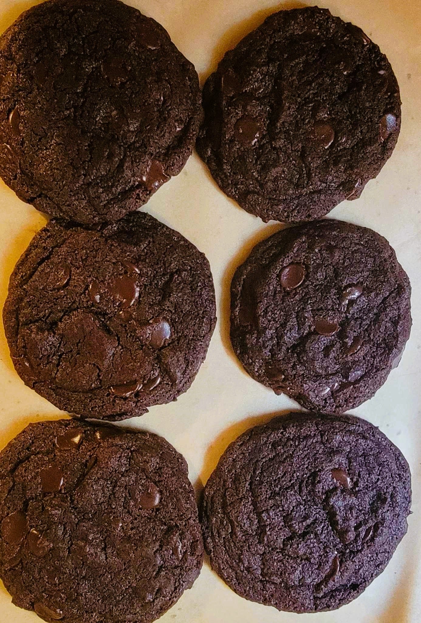 Chocolate Chocolate Chip Cookies - by Mary Armour