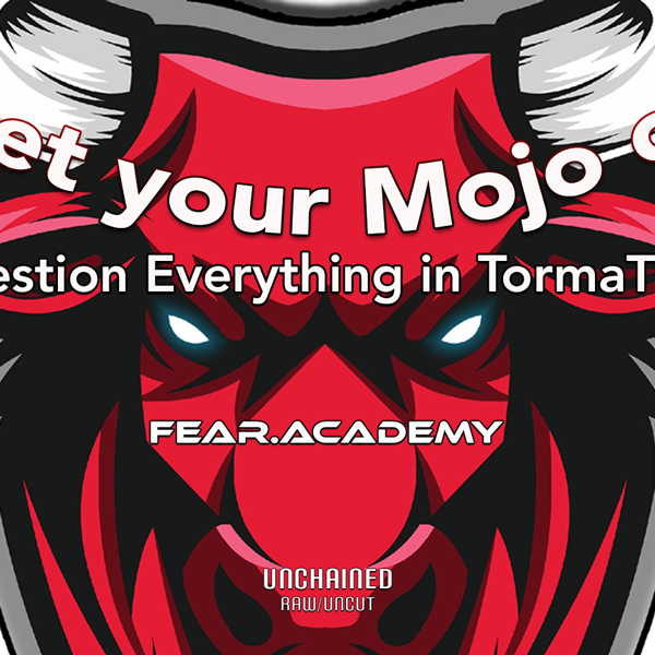 QUESTION EVERYTHING in TormaTime - FEAR ACADEMY  logo