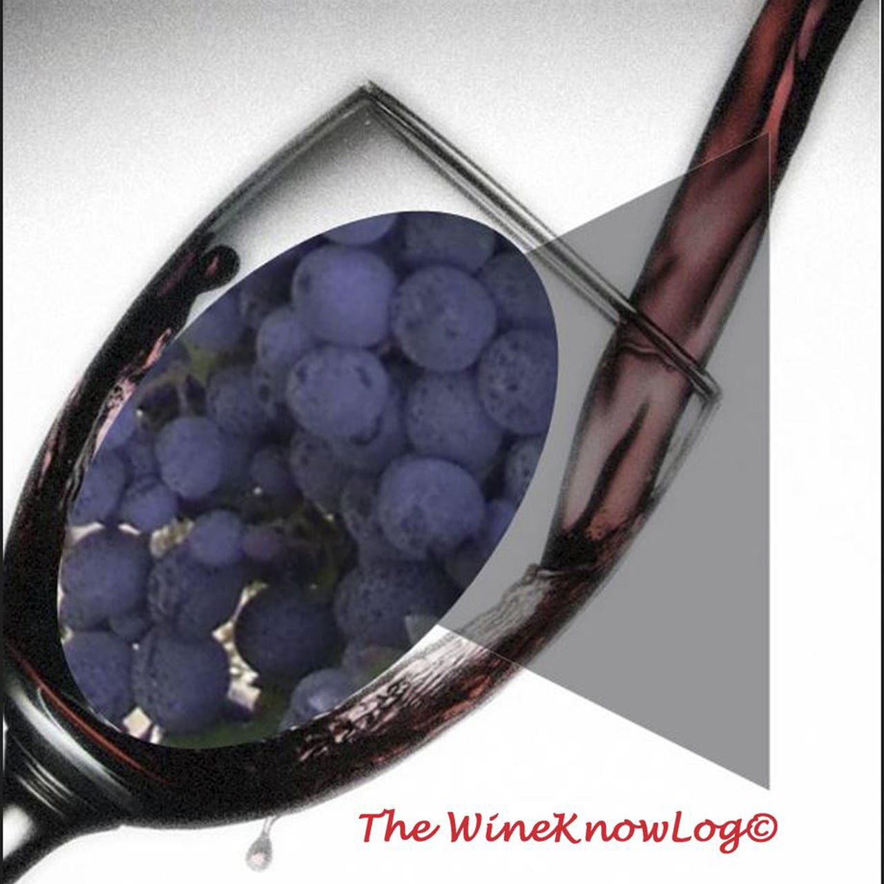 Artwork for The WineKnowLog©