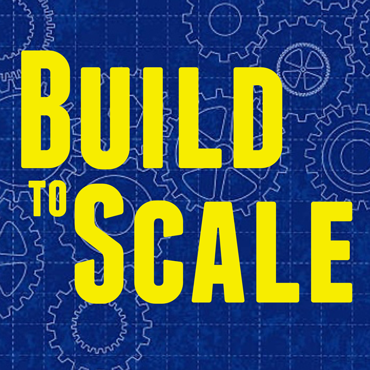 Build To Scale logo