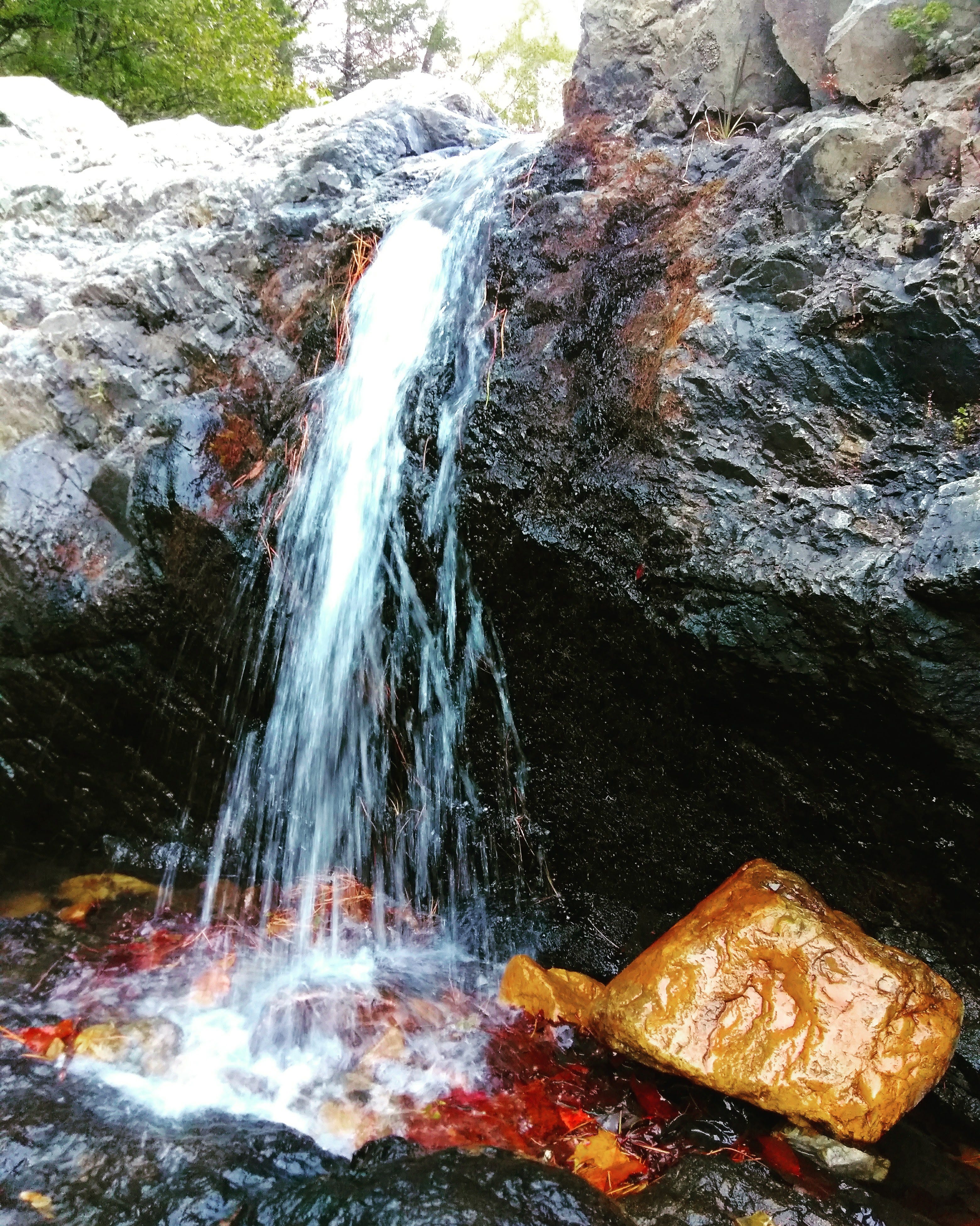 Feeling Safe by Nettie Zan Bewilder