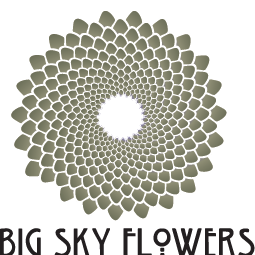 Artwork for Big Sky Flowers Newsletter