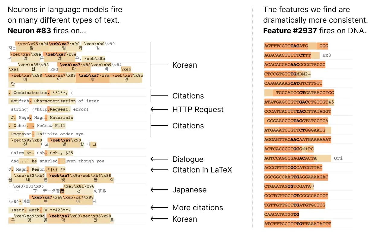 Anthropic Cofounder on His AI-Focused Newsletter Import AI