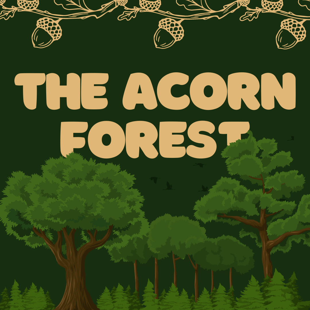 The Acorn Forest logo