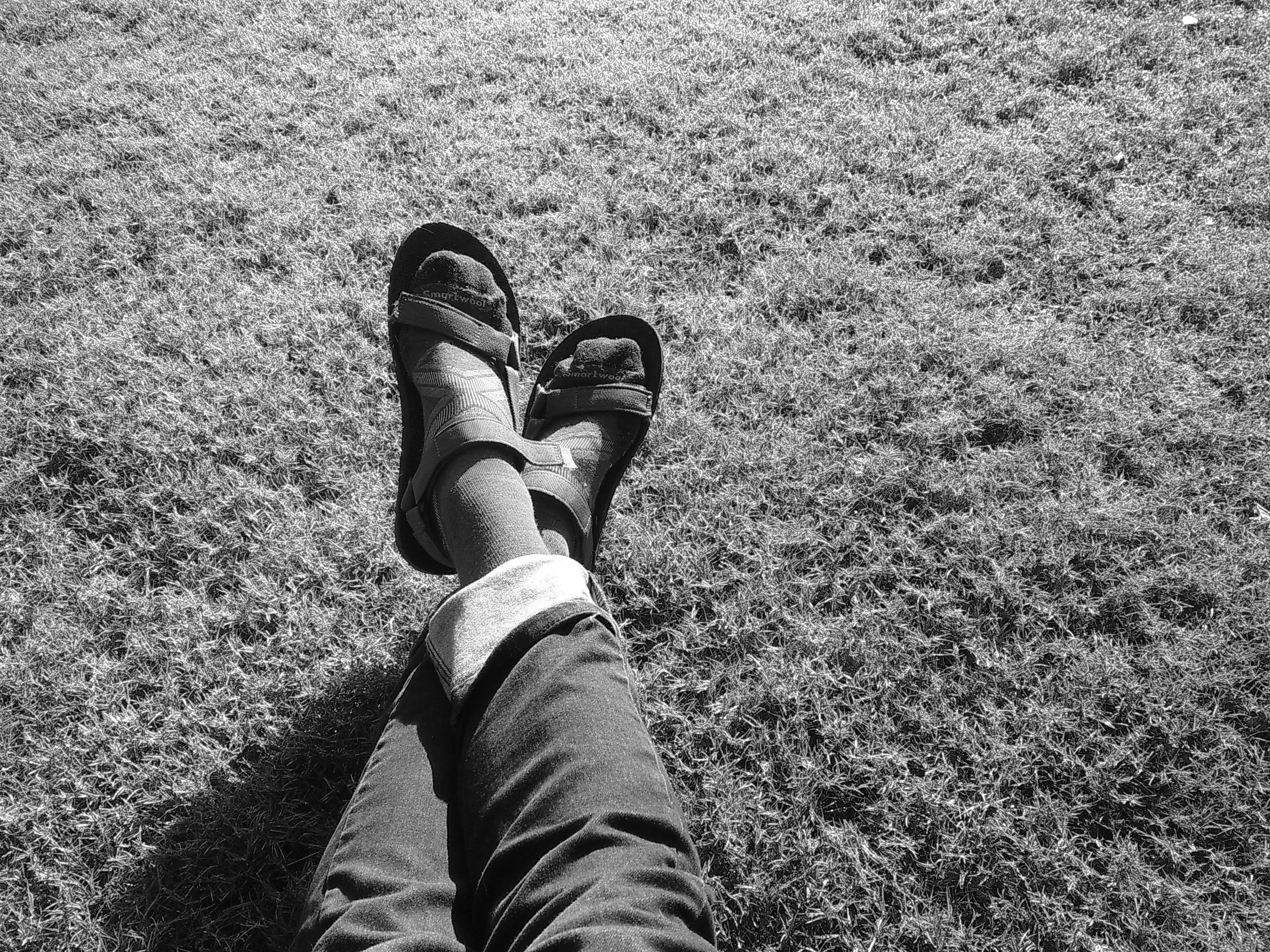 Socks and Sandals Matt Shaw