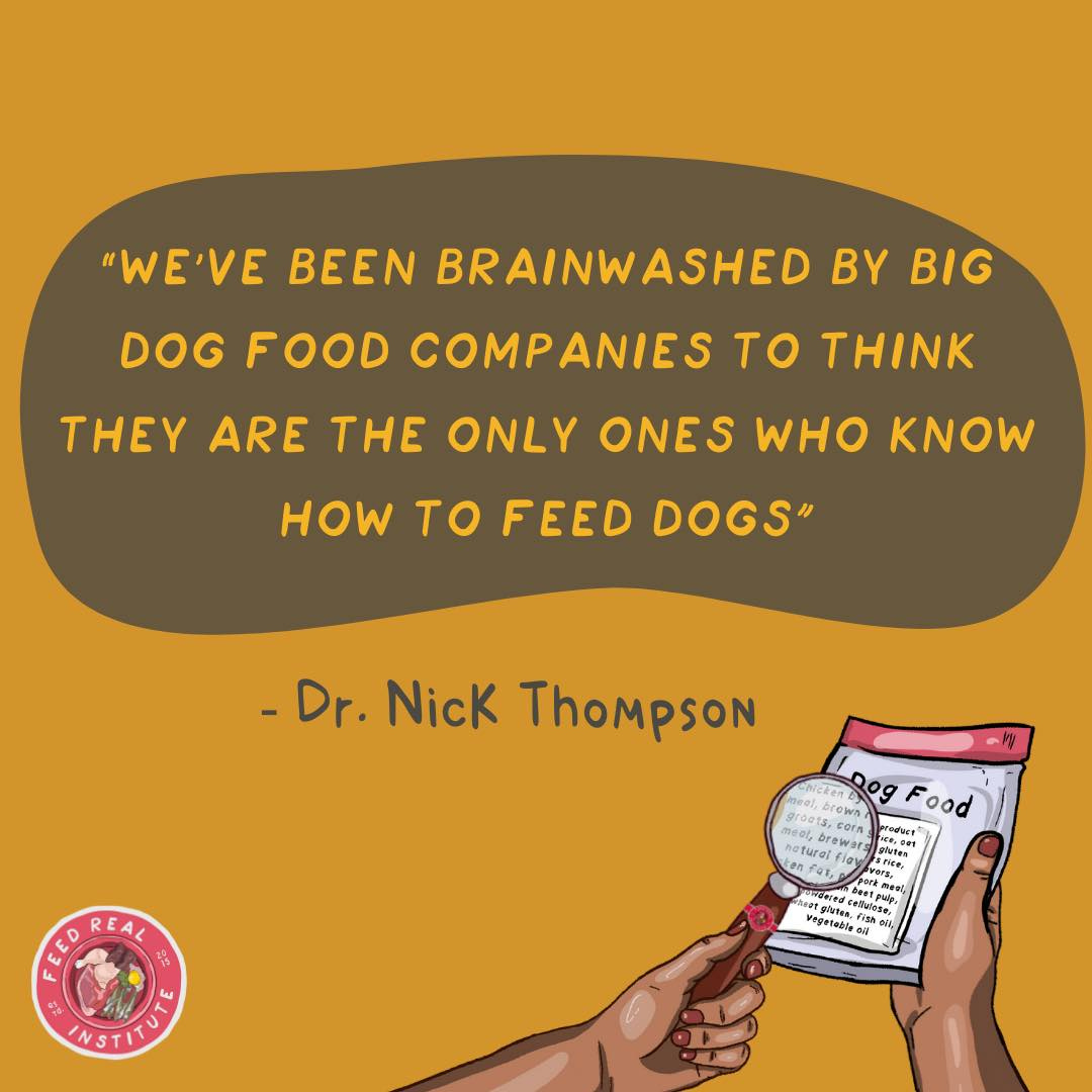 Making your dog's food at home by Laura Paolino