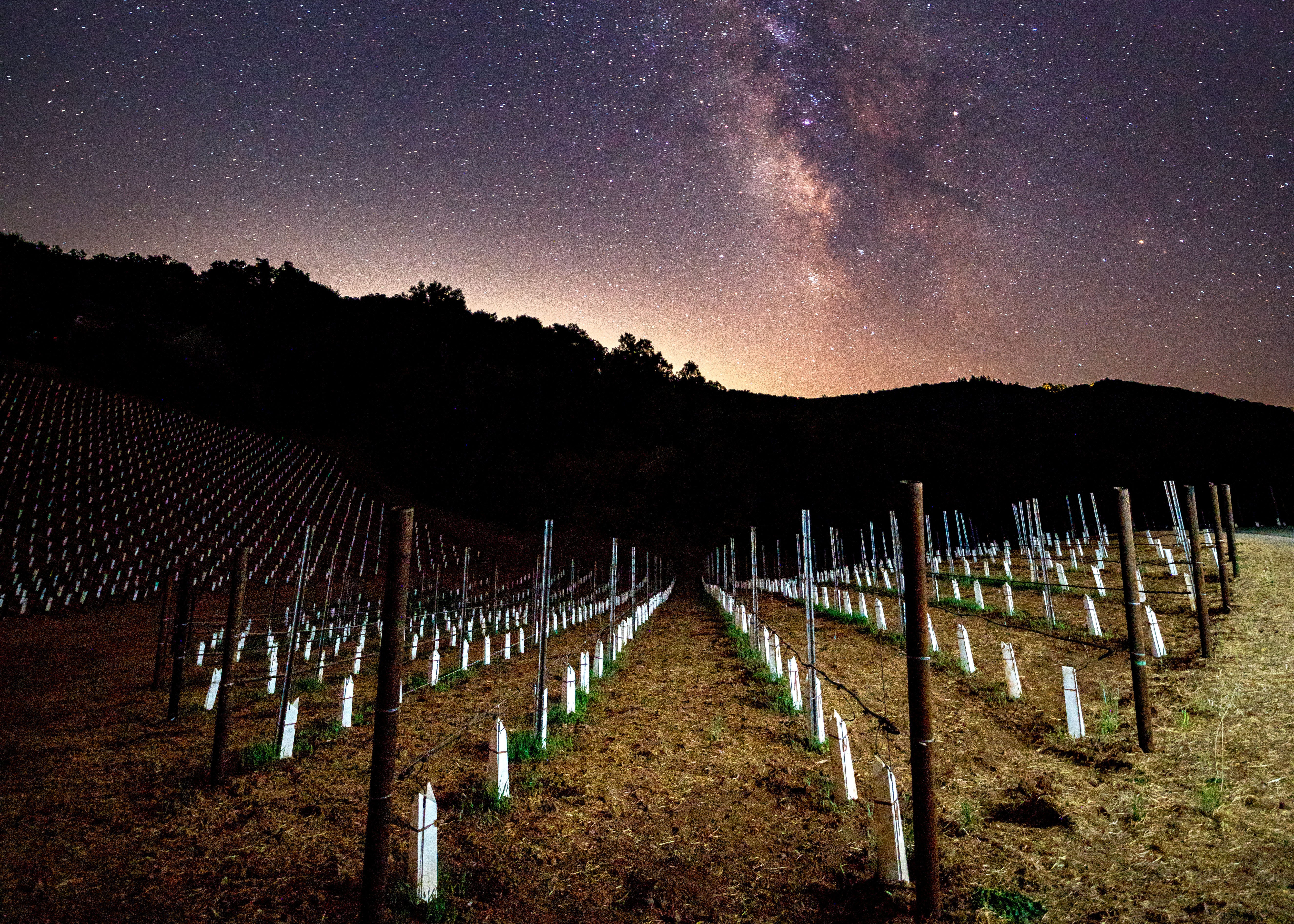 Napa Valley finds itself between a rock and a hard place