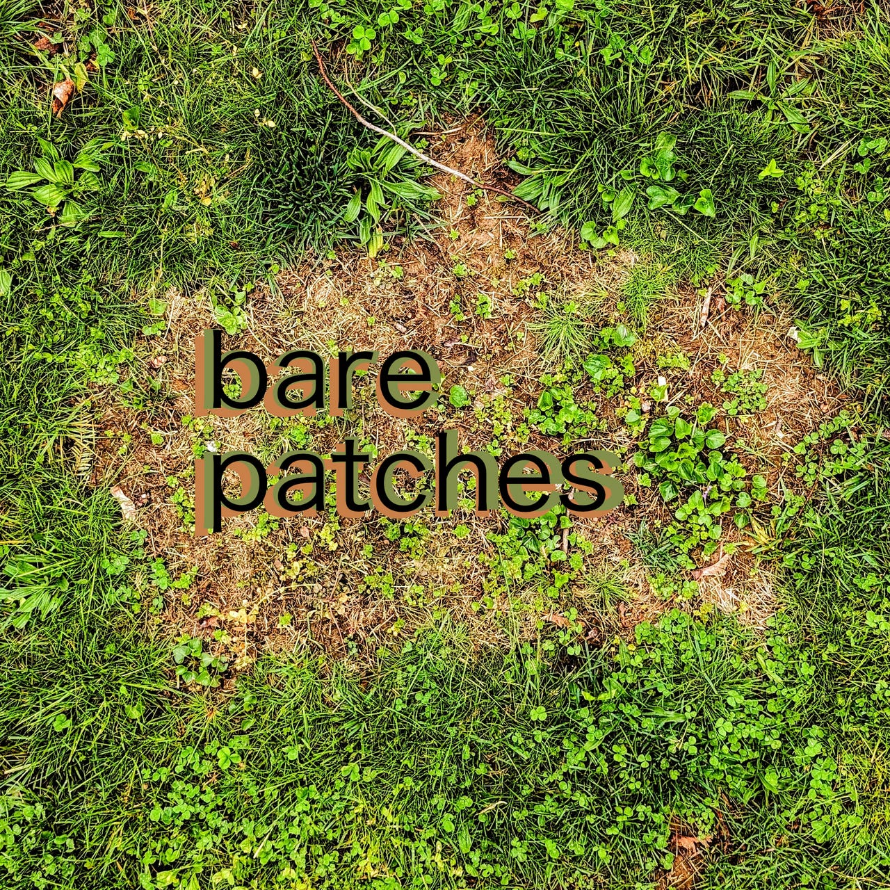 Bare Patches