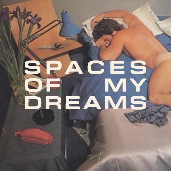 SPACES OF MY DREAMS logo