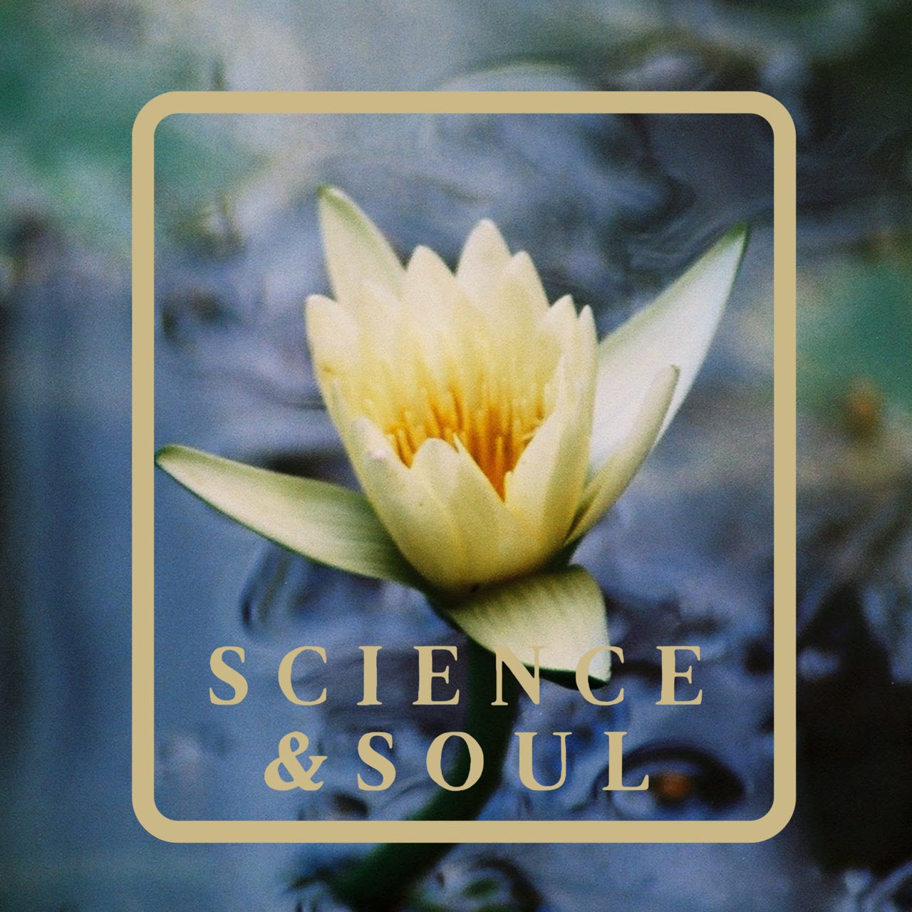 Artwork for Science & Soul