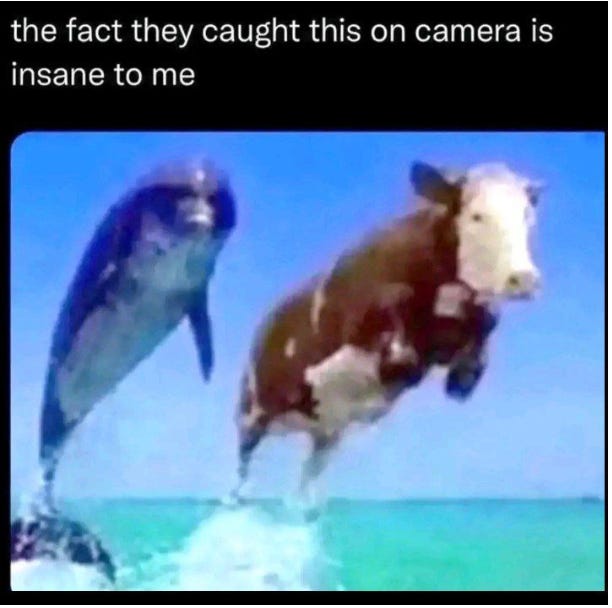 😜Want To Seem Smart?🧠 Here’s How to REALLY "Fact Check" Your Friends