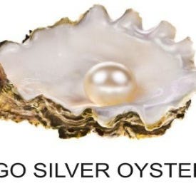 Artwork for Go Silver Oyster