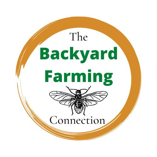 Artwork for Backyard Farming Connection