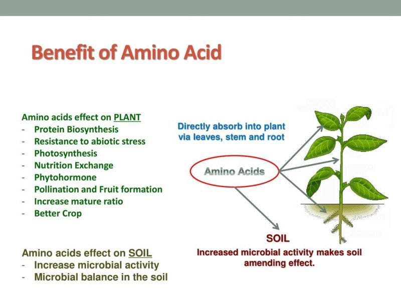 The Power of Amino Acids Unlocking the Secret to Healthier Plants and Soil