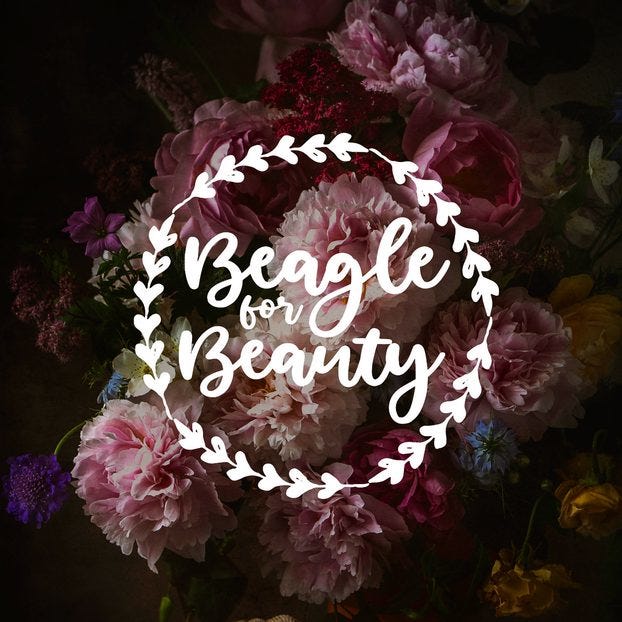 The Beagle For Beauty logo