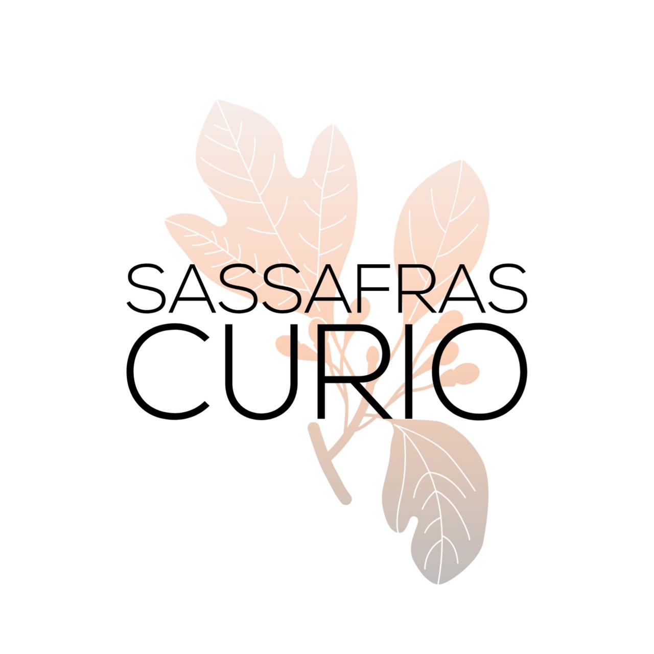 Artwork for The Sassafras Curio