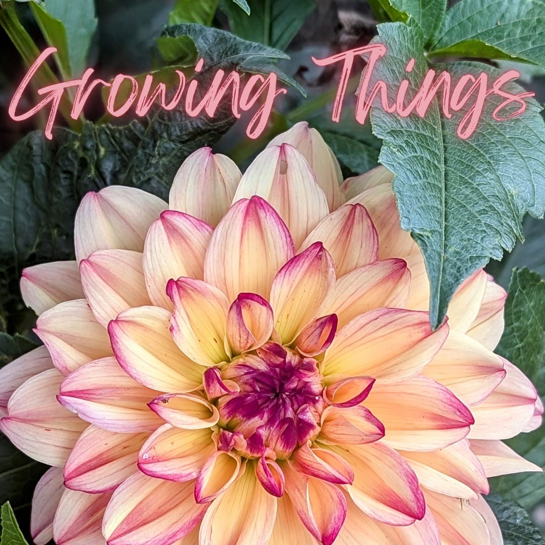 Growing Things